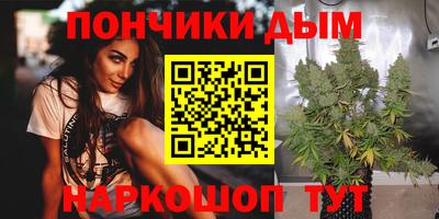 мдпв Камышлов