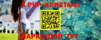 мдпв Камышлов