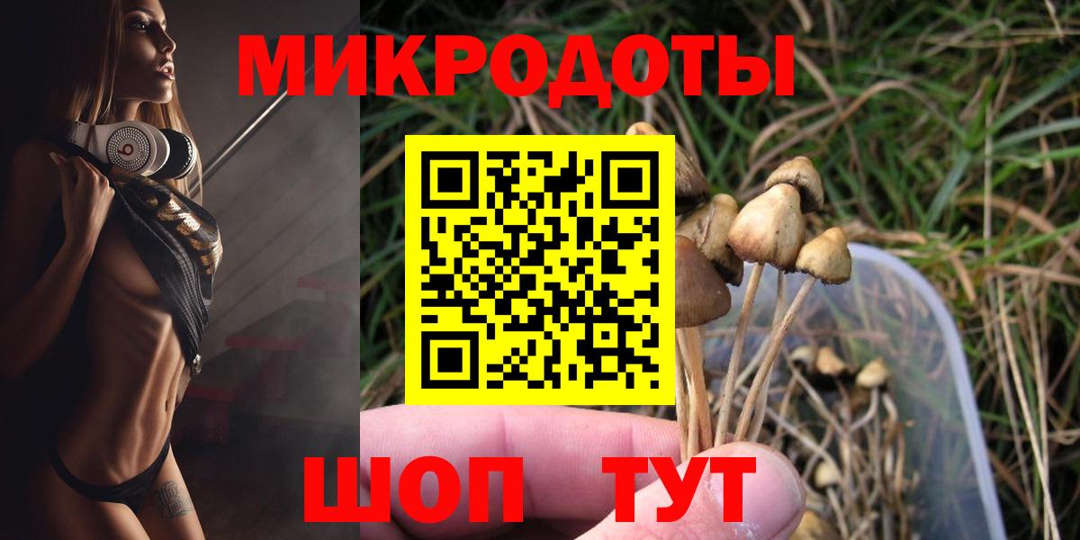 Кудымкар  Галлюциногенные грибы Cubensis  Вход с VPN 
